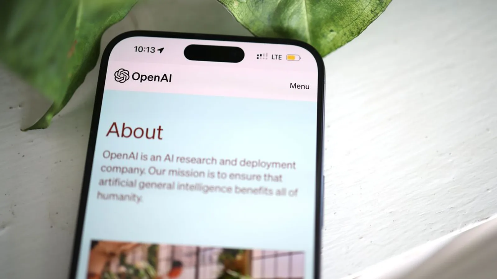 Close-up shot of a smartphone screen showing the OpenAI website with greenery in the background.